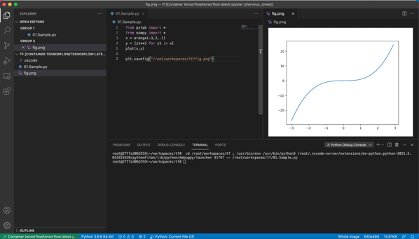 vscode_remote_container_extension_attach_tf_python_run.png vscode_remote_container_extension_attach_tf_python_run