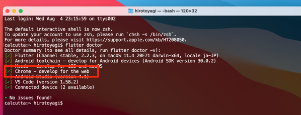 flutter_doctor_after