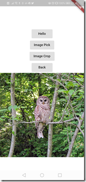 flutter_image_crop01 flutter_image_crop01