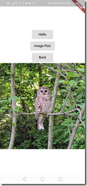 flutter_pick_image01