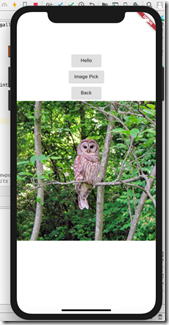 flutter_pick_image_ios01
