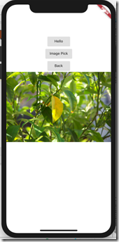 flutter_pick_image_ios04