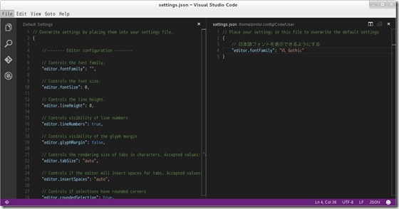 vs_code_japanese_success