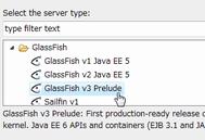 0562 glassfish10.jpg