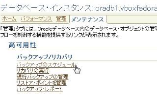 0946 ora backup01.jpg