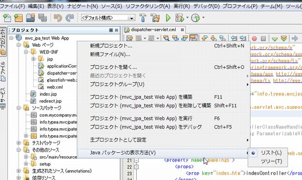 0817 netbeans package01.jpg